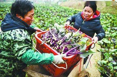 武汉地铁惊现巨型菜薹 引发网友热议