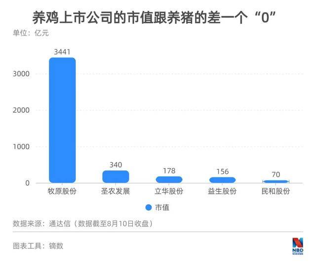 2025年1月3日 第31页