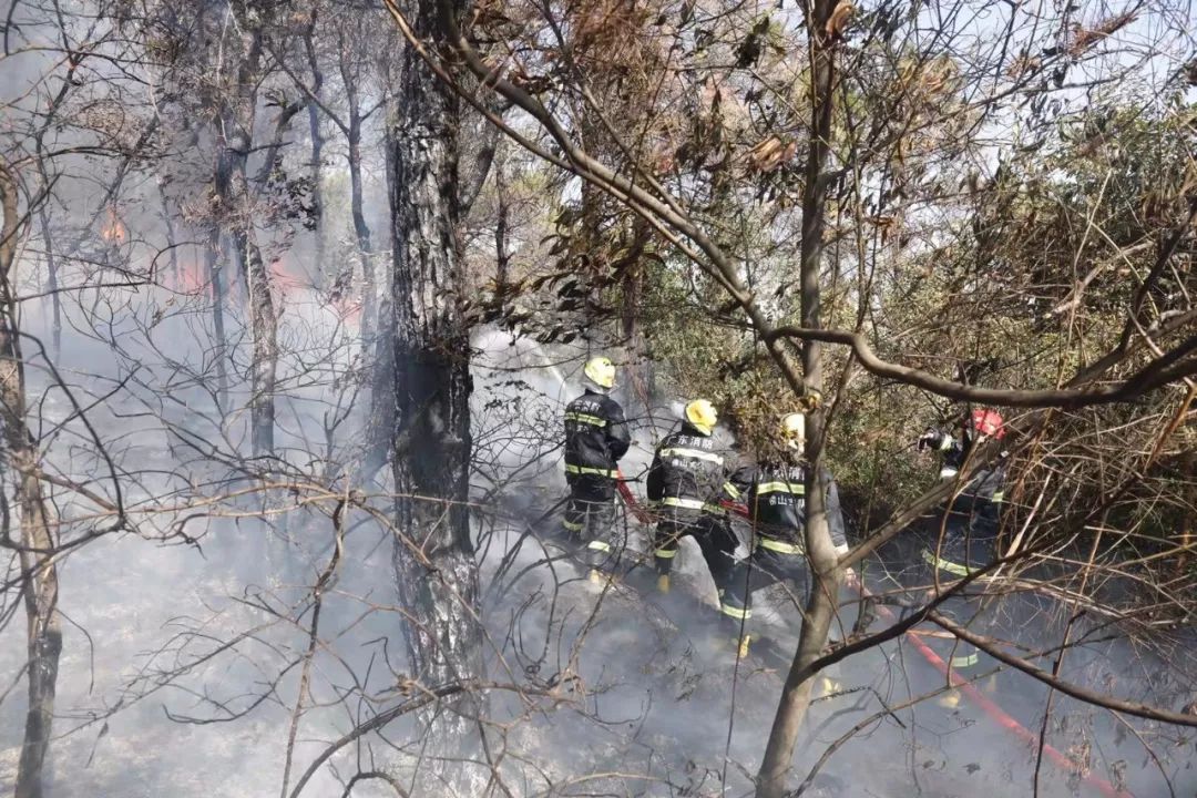 佛山一高校附近发生山火 无人伤亡 明火已扑灭